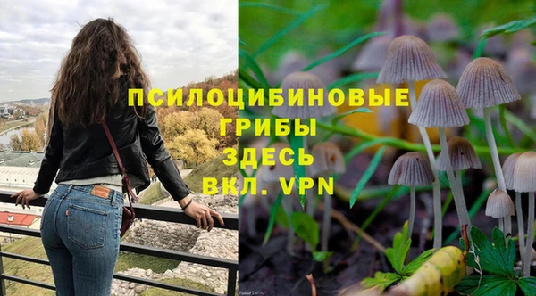 PSILOCYBIN Армянск